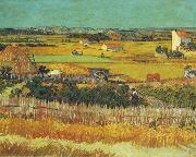 Vincent Van Gogh The Harvest, Arles Spain oil painting artist